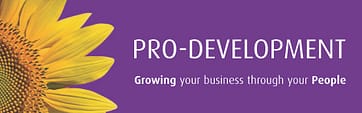 Pro-Development logo small version